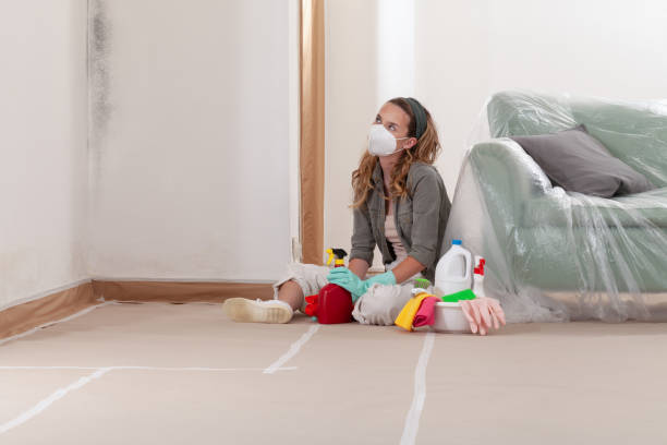 Reliable Black Mold Removal contractor in Mount Airy, NC by WQB Mold Removal